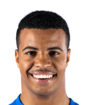 哈姆扎·伊格曼